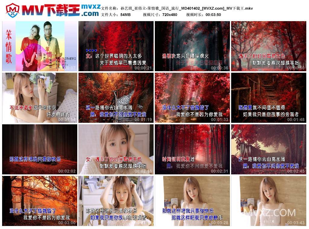 孙艺琪_崔伟立-笨情歌_国语_流行_MD401402